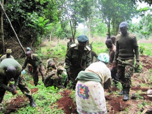 excellent job for military officers in tree planting activities. the officer were planting inside the mount kenya forest.