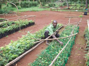member_working_in_the_nursery member_working_in_the_nursery