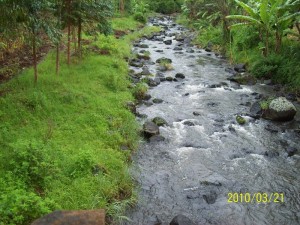 thuci_river thuci_river